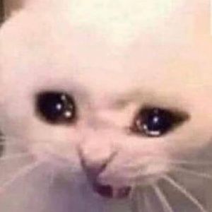 Meet your Posher, Ricky